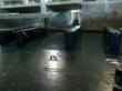 First Phase of Major Lining Project Completed Ahead of Schedule by...